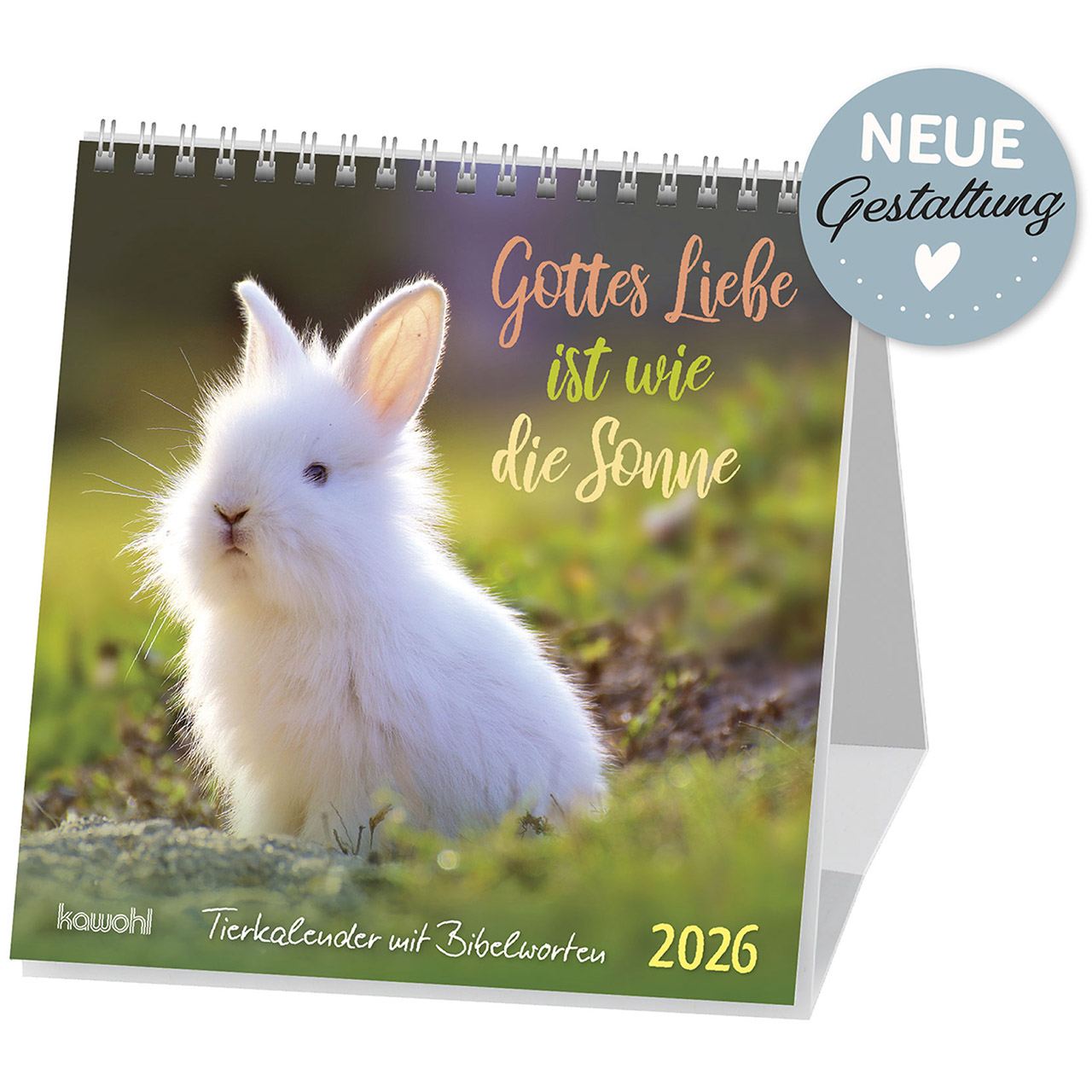 Gottes Liebe ist wie die Sonne 2026 Postkartenkalender - Gottes Liebe ist wie die Sonne 2026 - Hase Kaninchen weiß