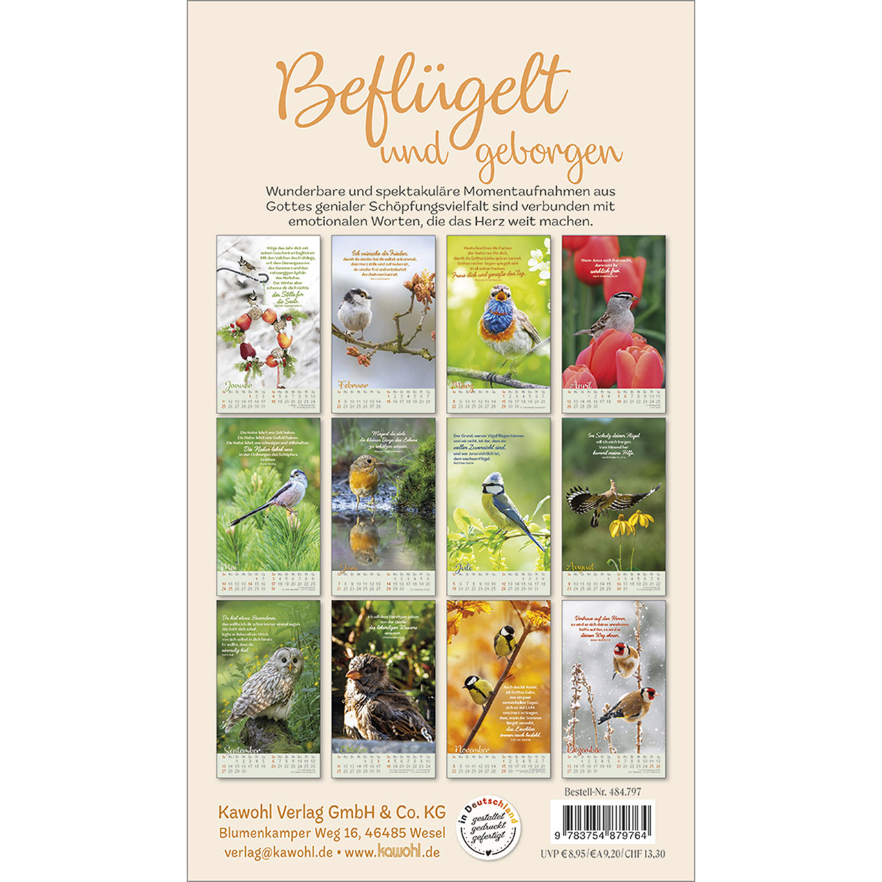 Postkartenkalender - Beflügelt und geborgen 2026