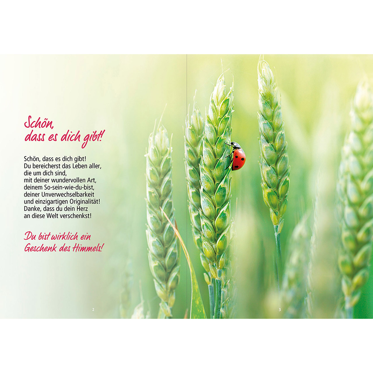Grußheft - So gut, dass es dich gibt! - Blumenstrauß Vase