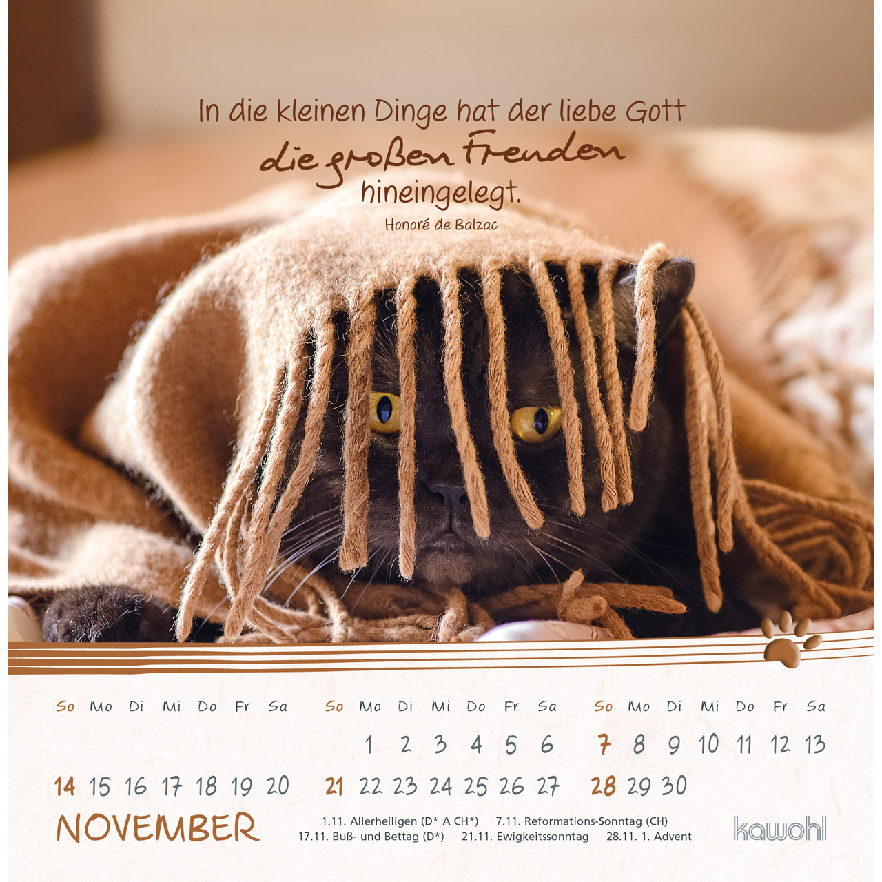Postkartenkalender - Kleine Katzen-Tatzen 2027
