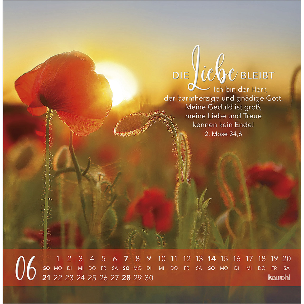 Postkartenkalender - Die Liebe bleibt bestehn 2026
