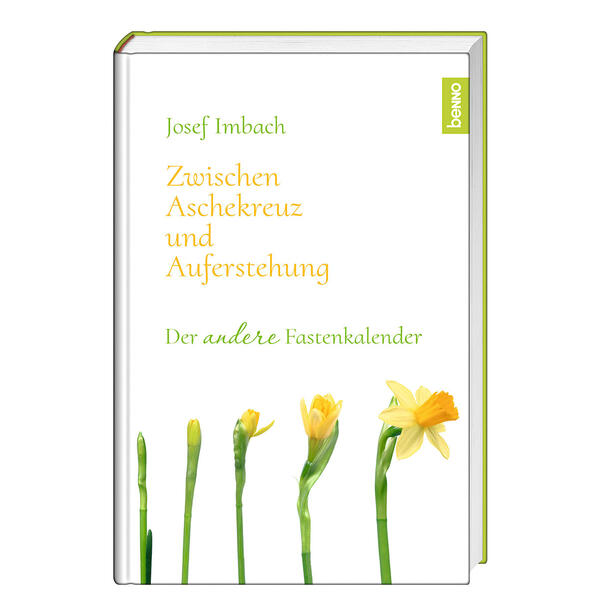 Buch - Zwischen Aschekreuz und Auferstehung