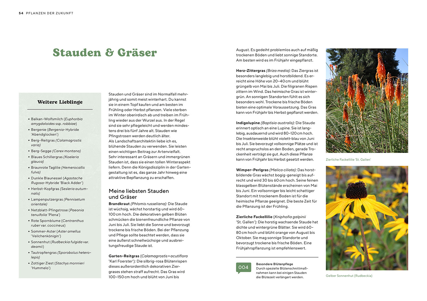 Buch - Hitzekünstler