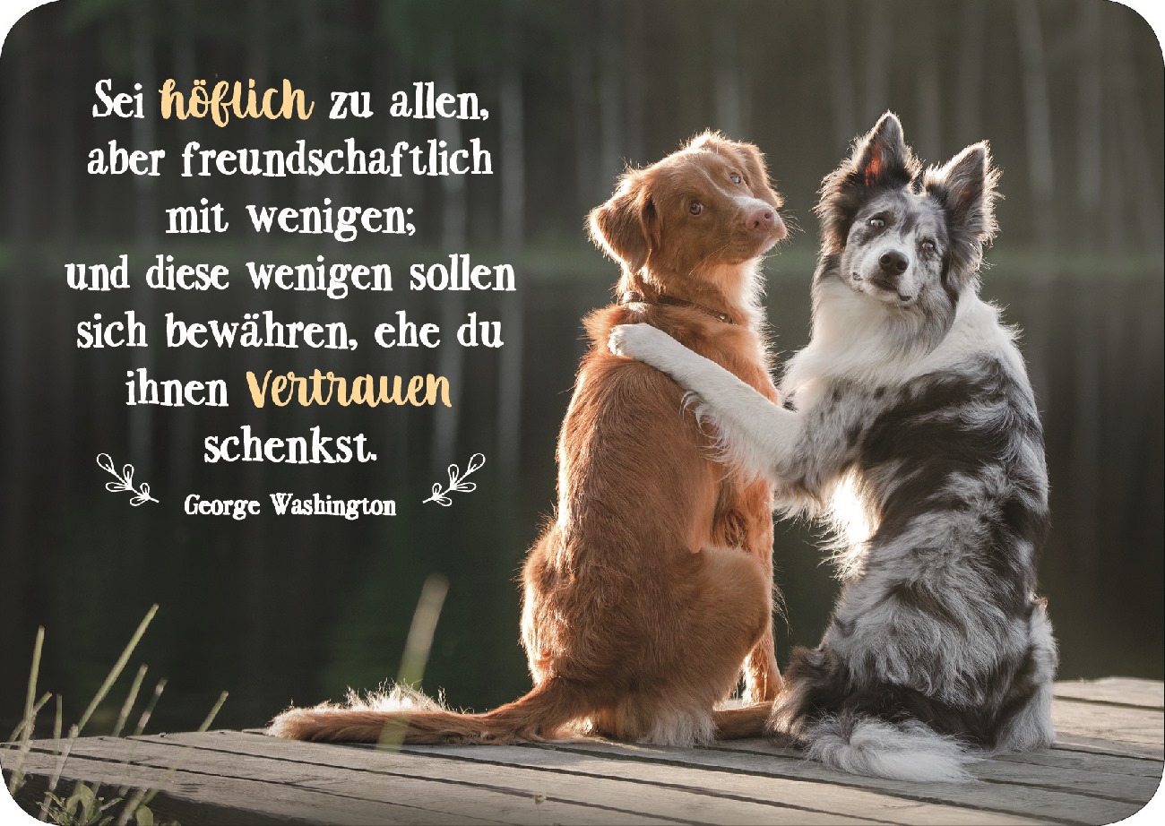 Postkarte - Postkarte 'Sei höflich zu allen, aber freundschaftlich zu wenigen; und diese wen