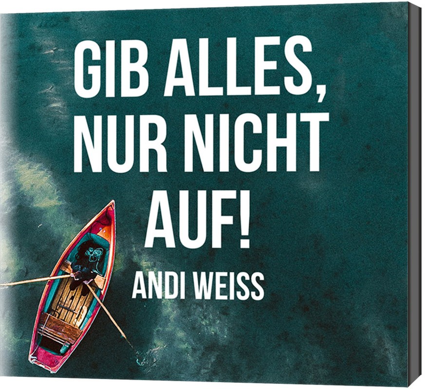 Gib alles, nur nicht auf! (CD)