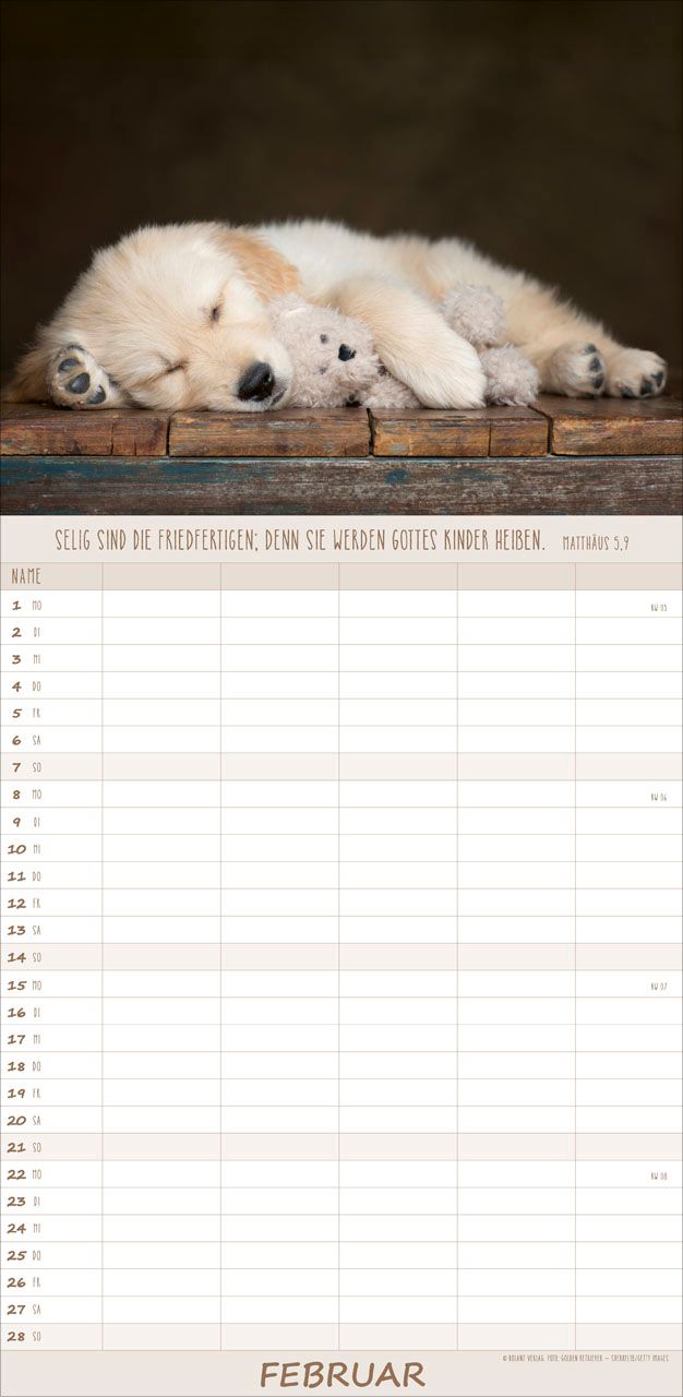 Terminkalender - Hunde 2027