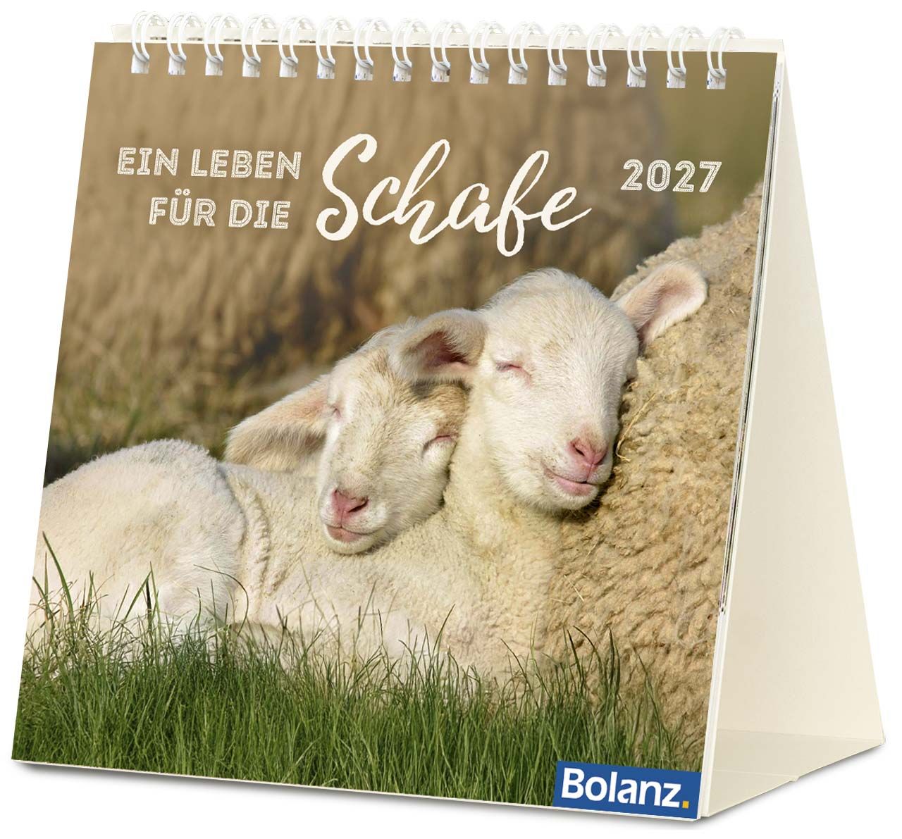 Tischkalender - Ein Leben für die Schafe 2027