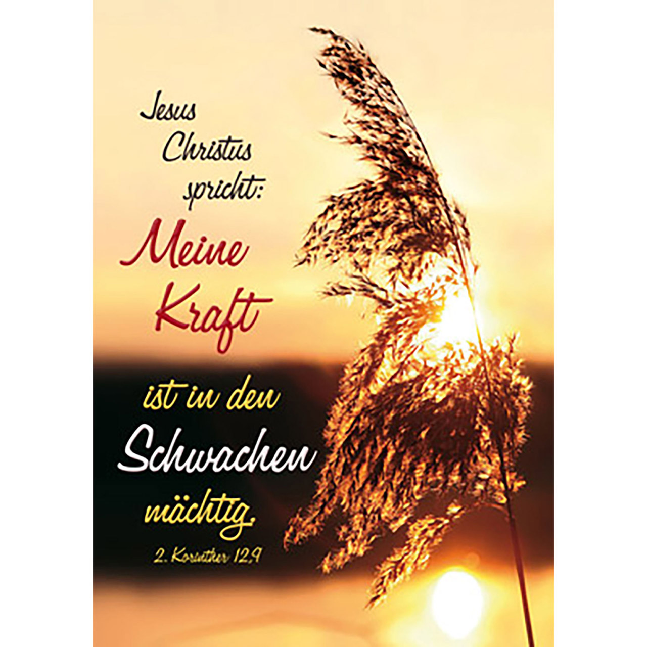 Poster - Jesus Christus spricht: Meine Kraft - Grasblüte Sonne