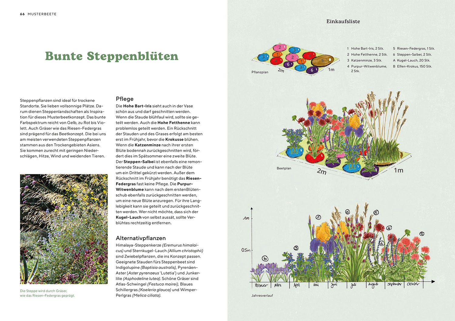 Buch - Hitzekünstler