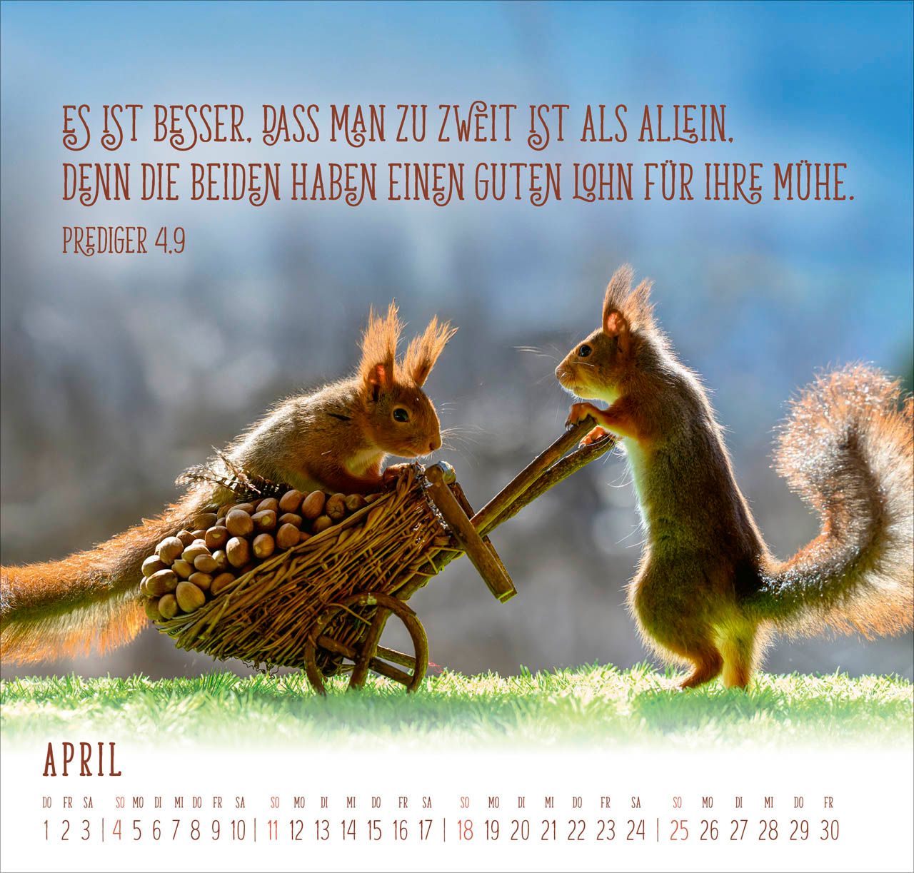 Wandkalender - Du machst mich froh 2027