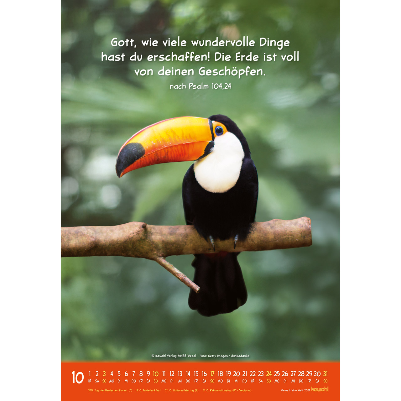 Wandkalender - Meine kleine Welt 2027