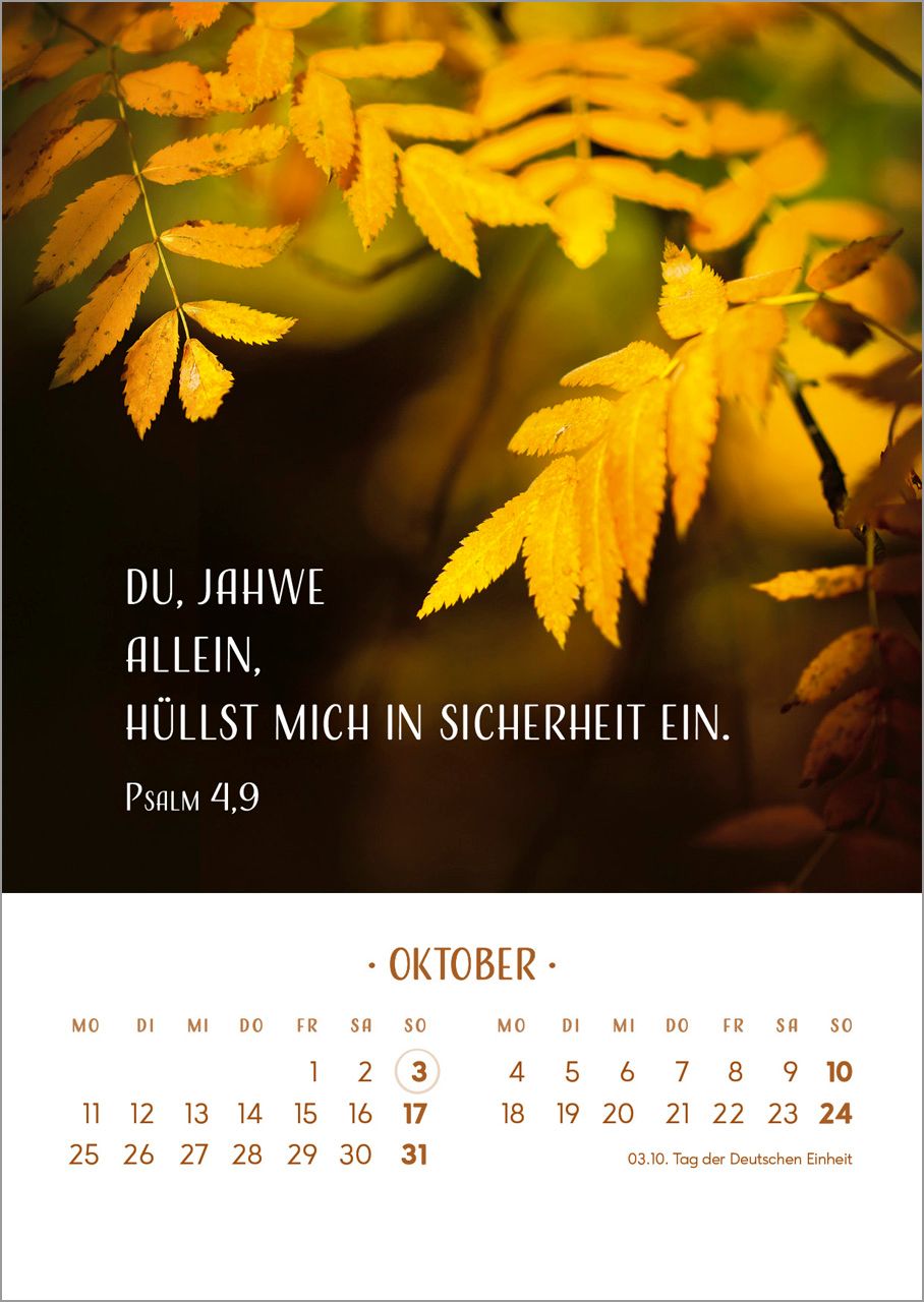 Tischkalender - Zarte Blumengrüße 2027