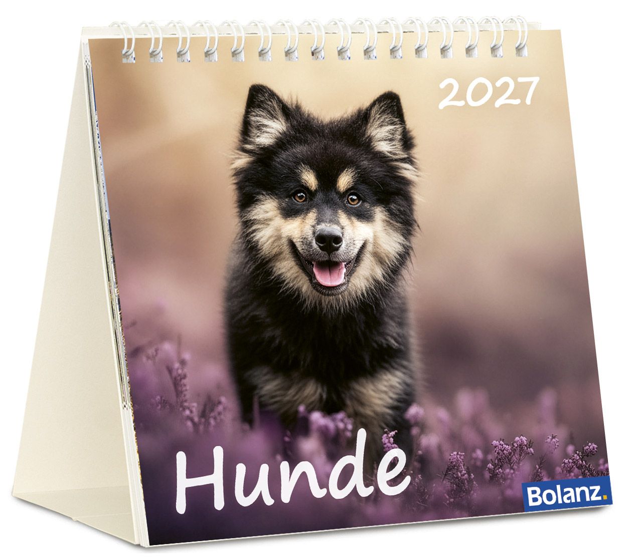 Tischkalender - Hunde 2027