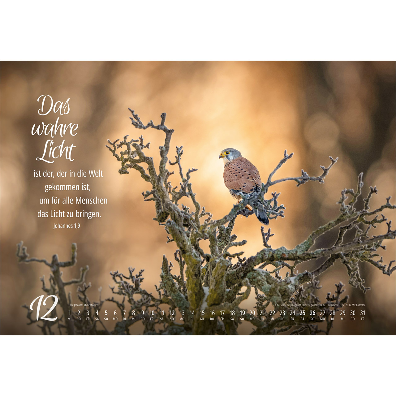 Wandkalender - Real Wildlife 2027