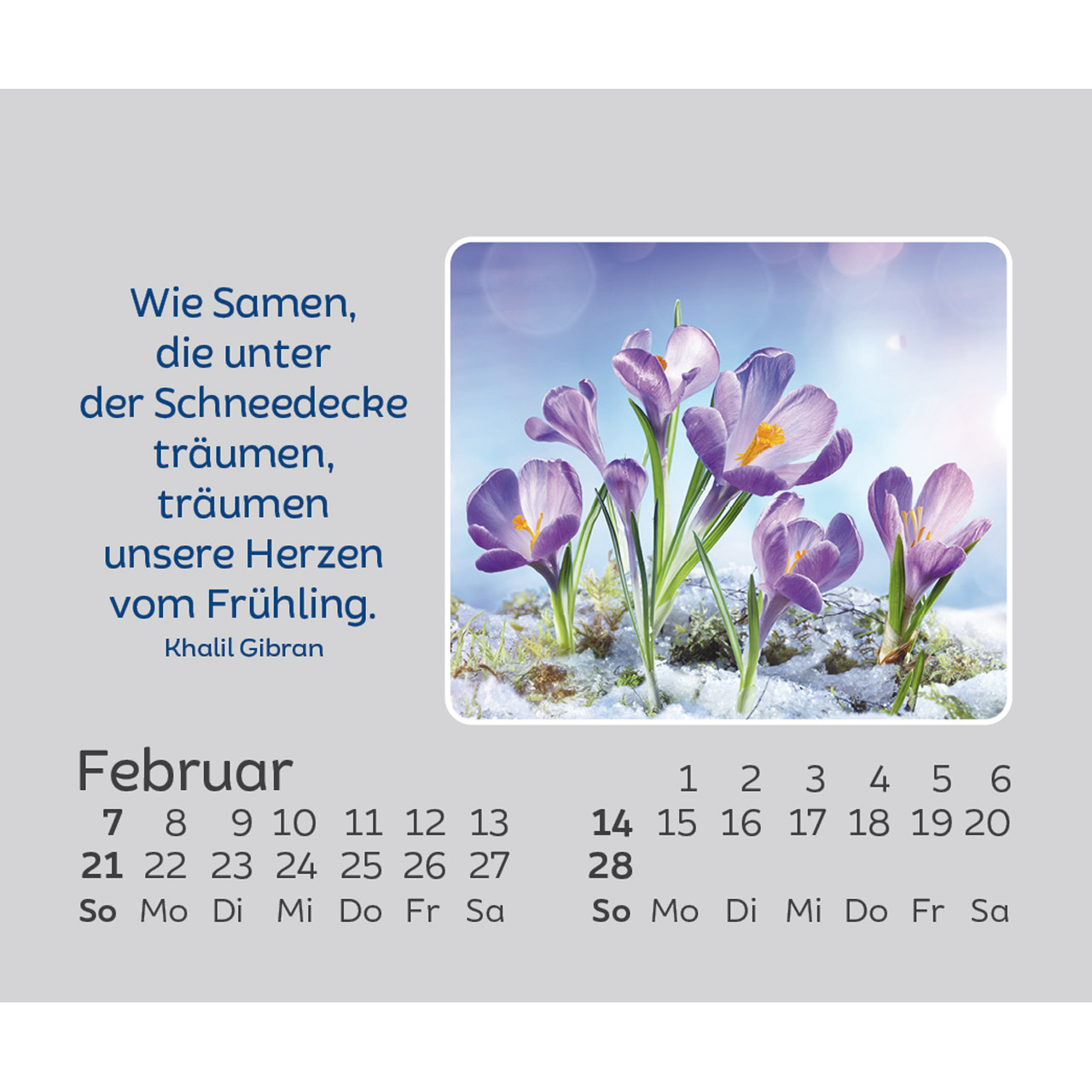 Aufstellkalender - Hoffnung für jeden Tag 2027