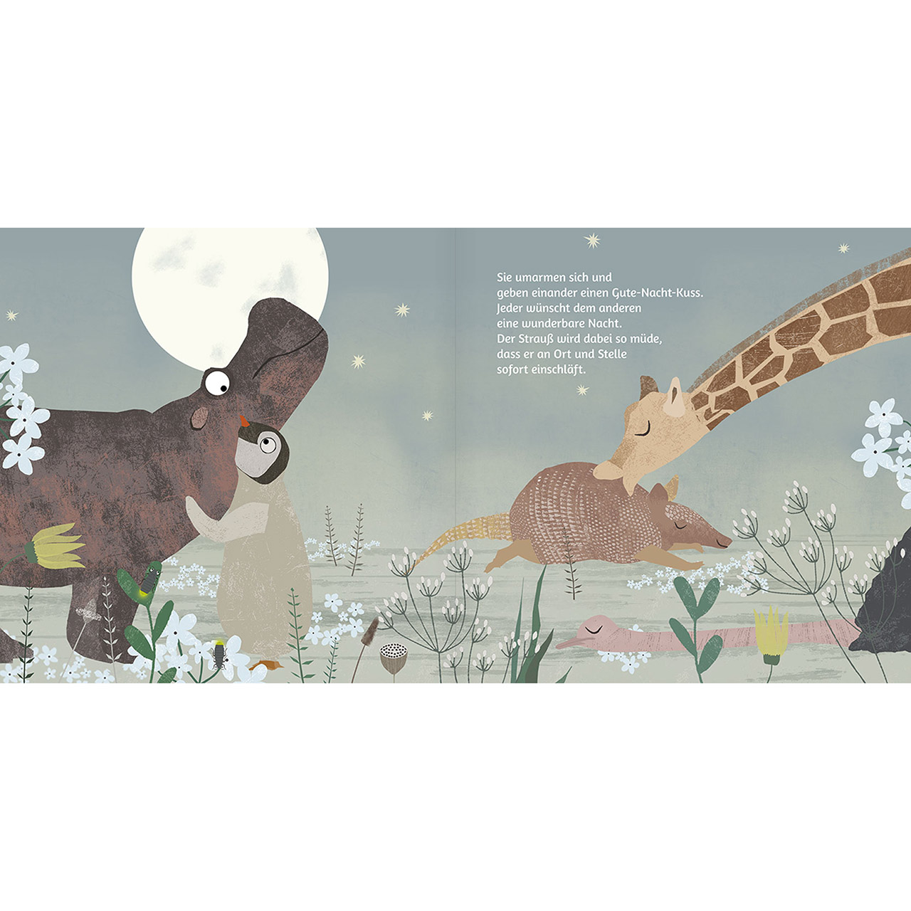 Geschenkbuch - Wunderbare gute Nacht - Pinguin Füchse Schmetterlinge Mond