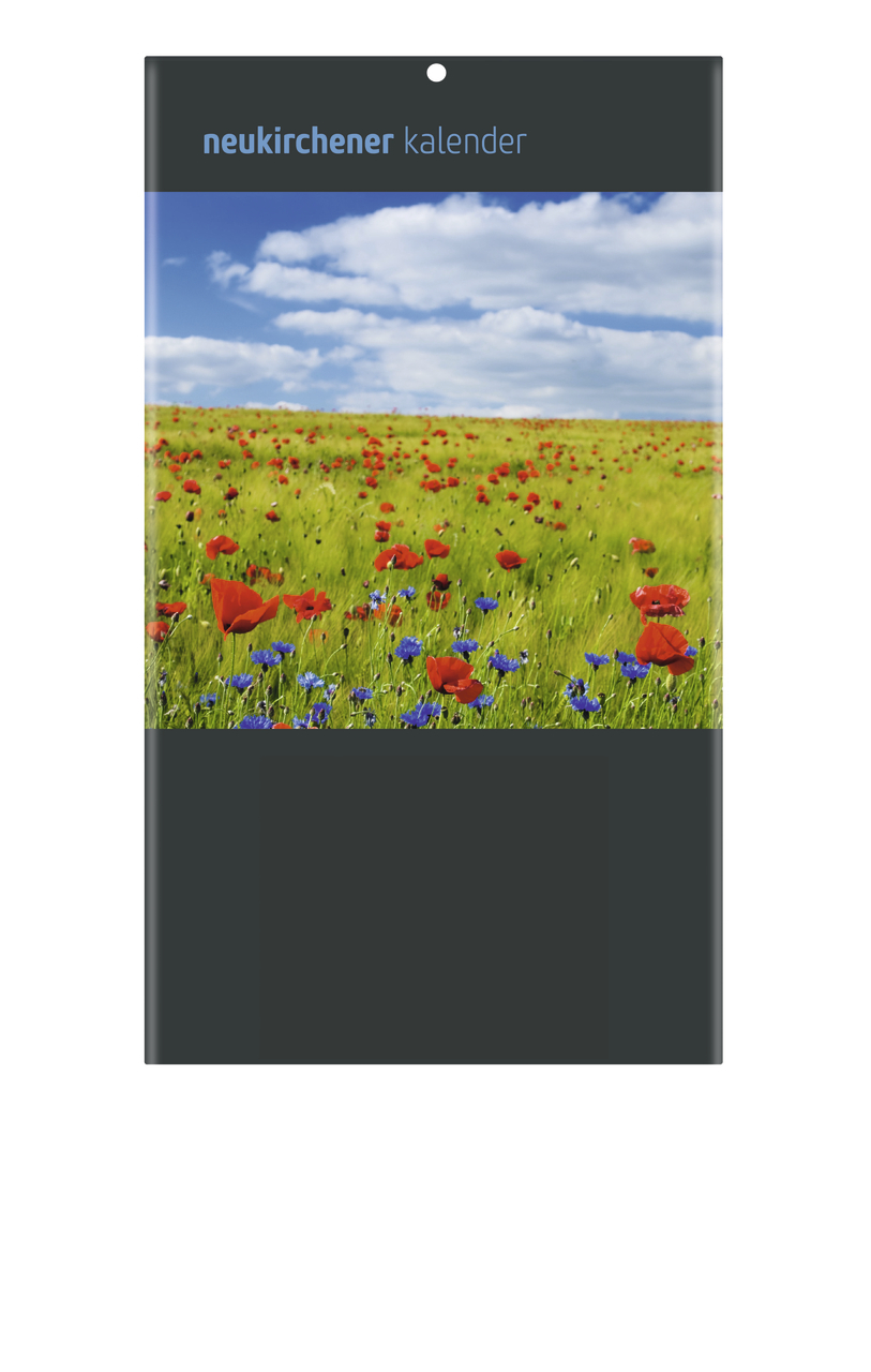 Immerwährende Rückwand 'Das Blumenfeld'