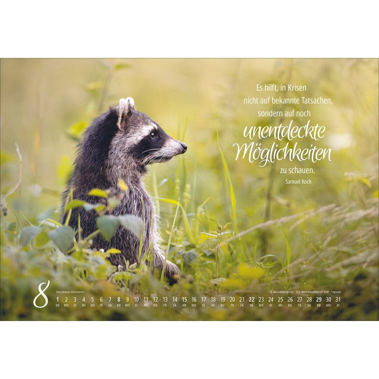 Wandkalender - Real Wildlife 2027
