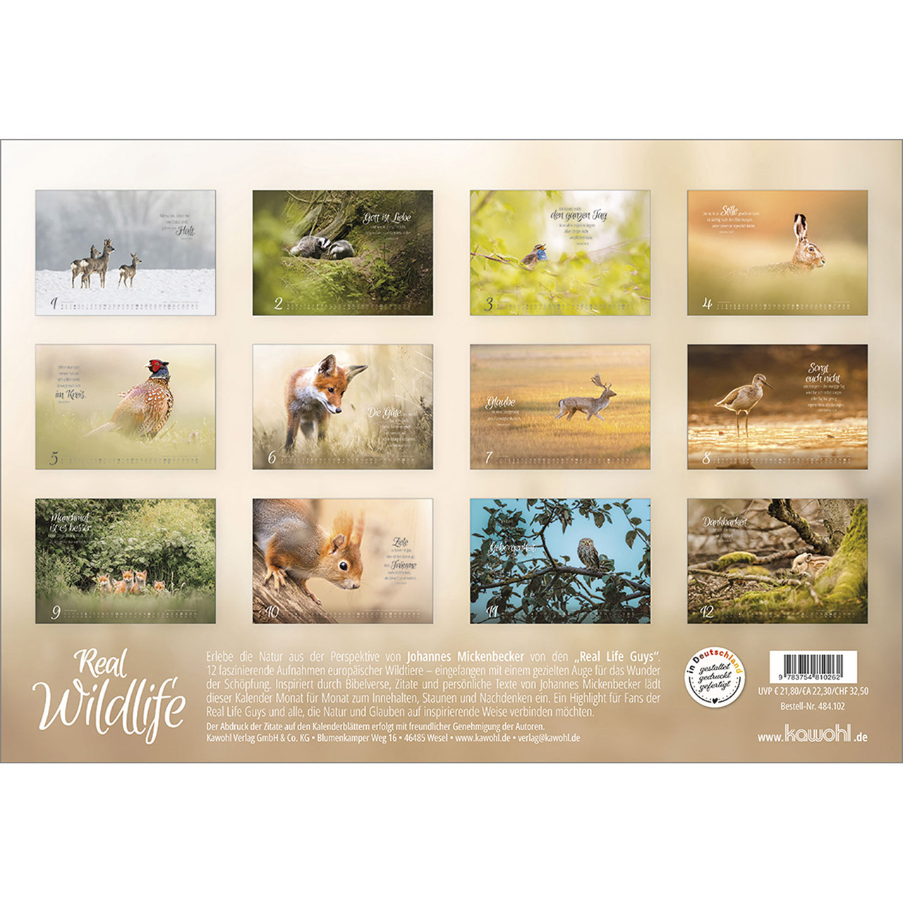Wandkalender - Real Wildlife 2026