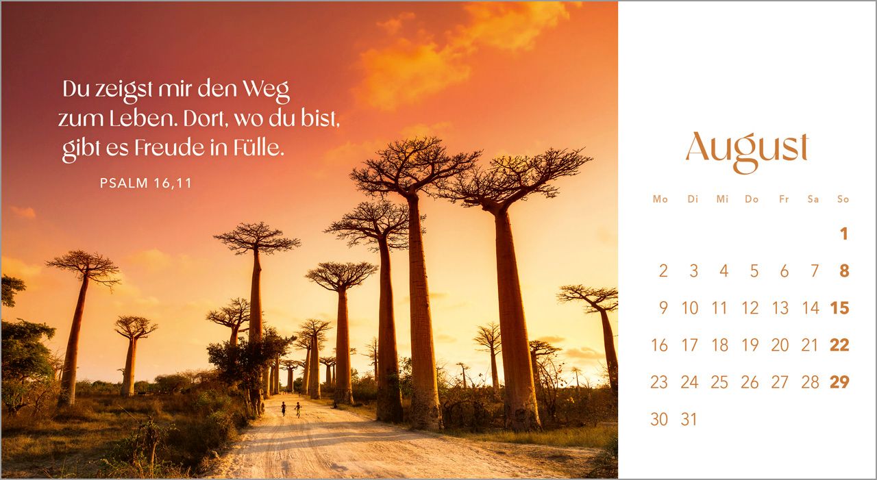 Postkartenkalender - Quelle des Lebens 2027