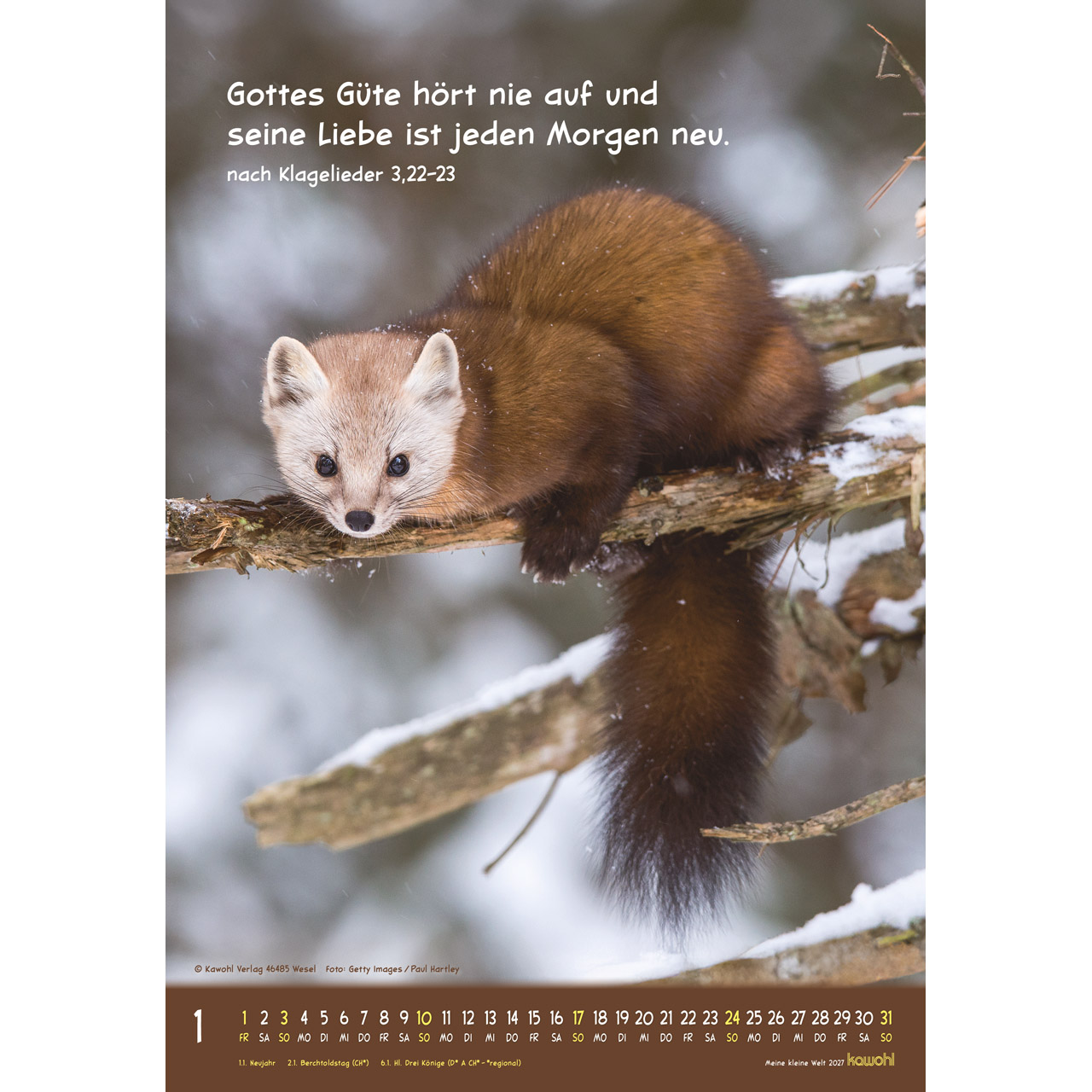 Wandkalender - Meine kleine Welt 2027