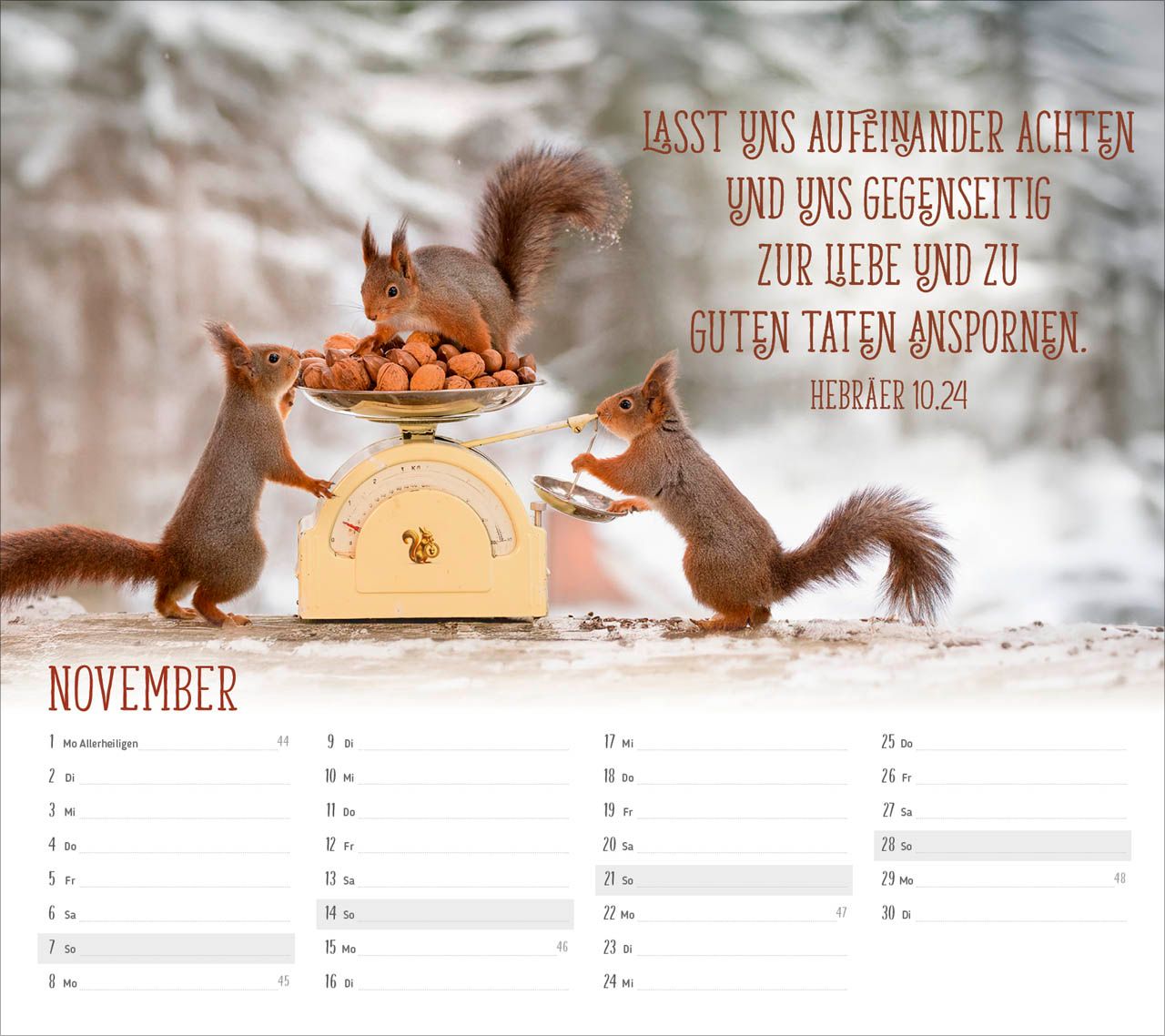 Tischkalender - Du sorgst für mich 2027