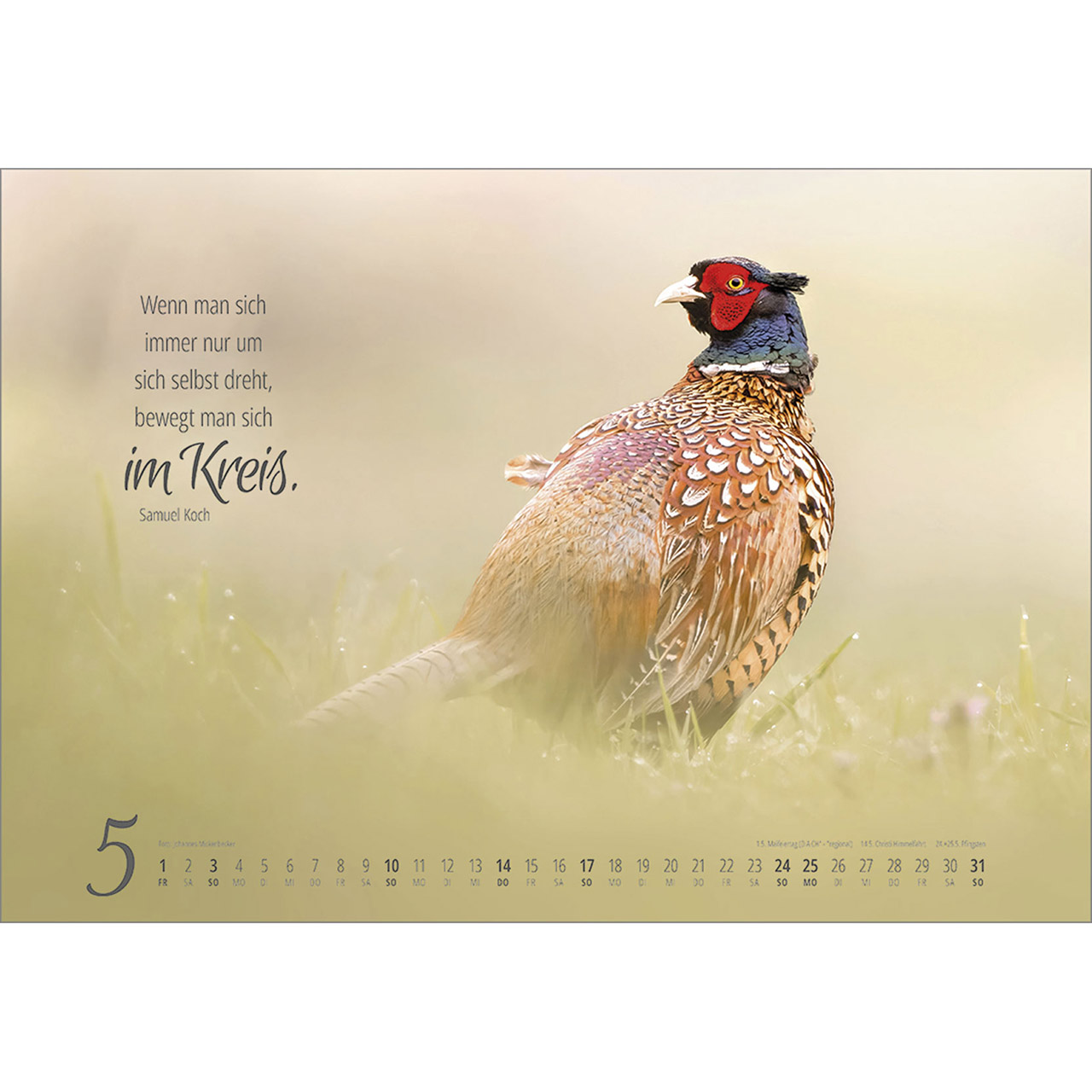 Wandkalender - Real Wildlife 2026