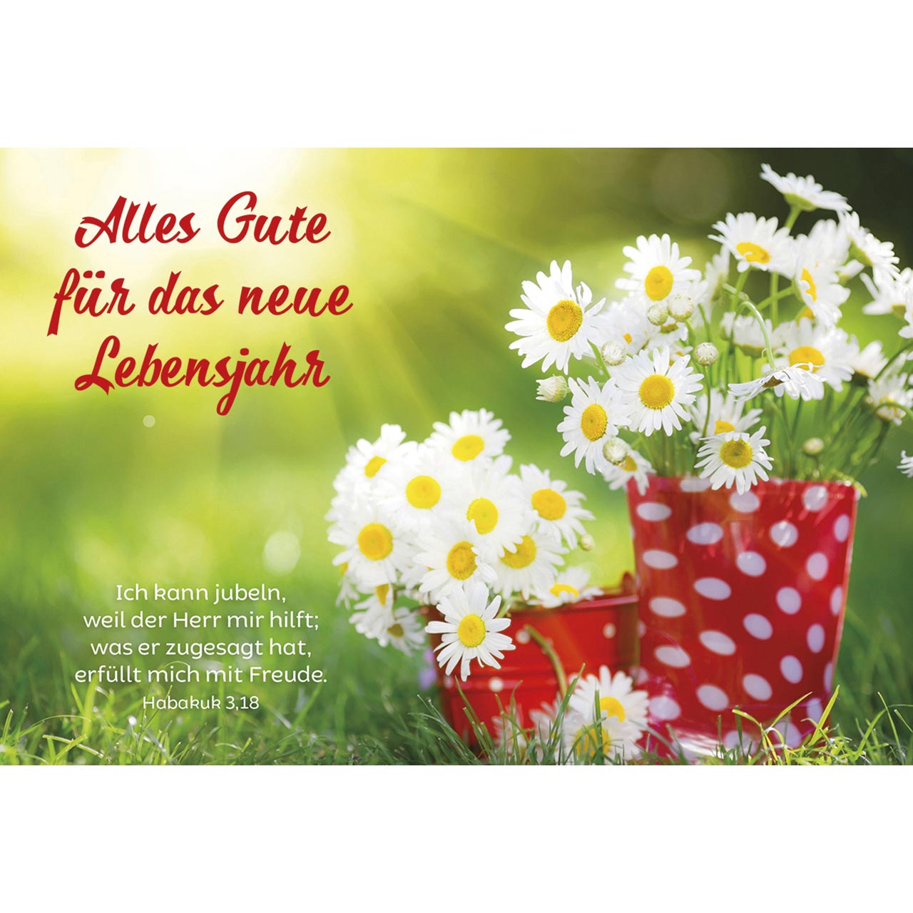 Faltkarte - Alles Gute für das neue Lebensjahr - Margeriten