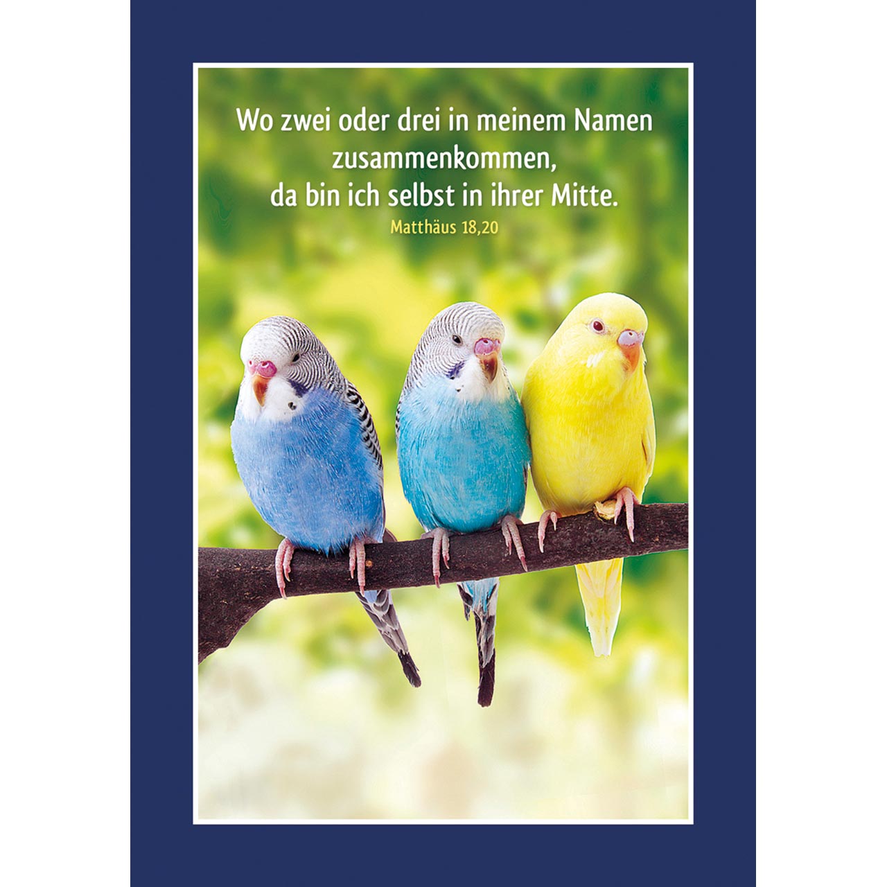 Aufkleberbuch - Tierisch fit! - Hund / Welpe / Tiermotiv