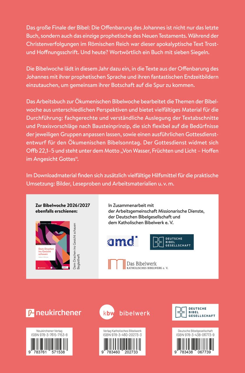 Buch - Dem Drachen ins Gesicht schauen