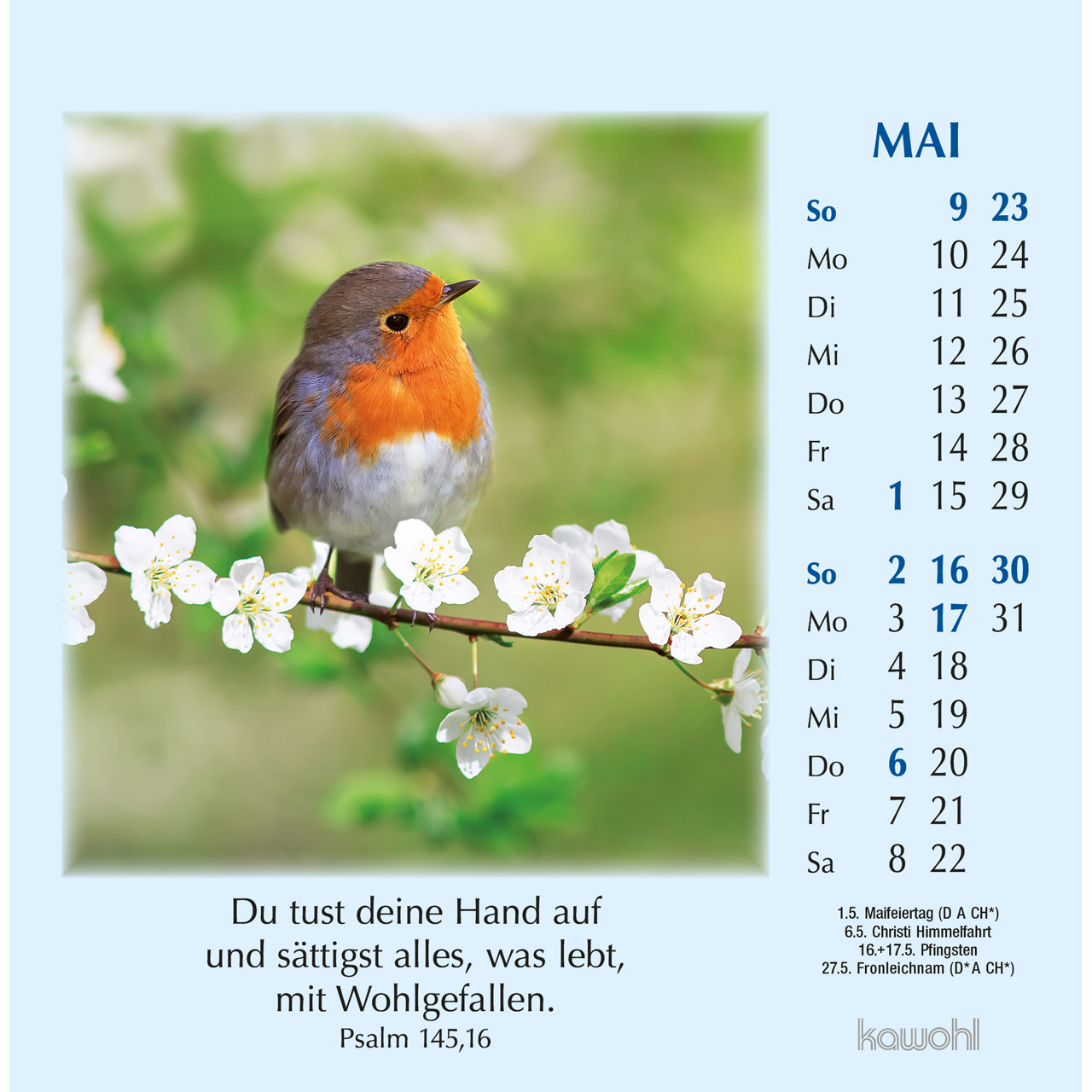 Postkartenkalender - Worte des Lebens 2027