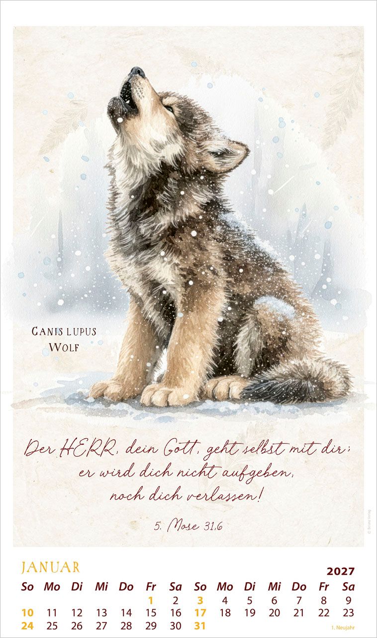 Posterkalender - Schmuckstücke des Schöpfers 2027 Posterkalender