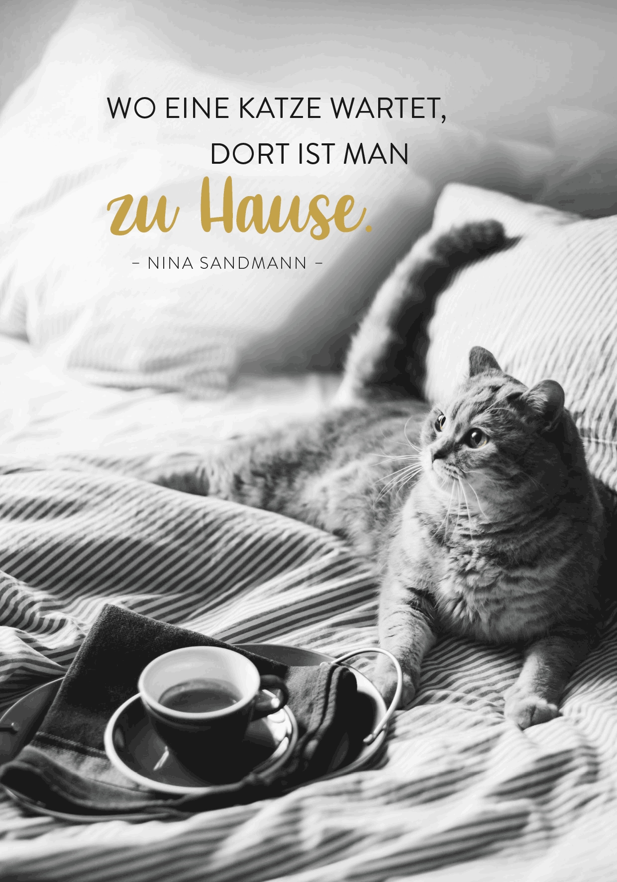 Buchkalender - Für Katzenfreunde 2027