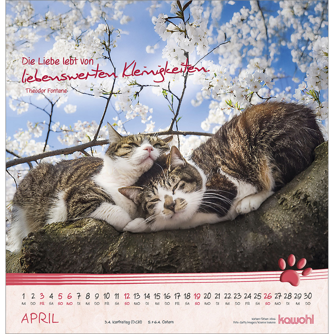 Wandkalender - Katzen-Tatzen 2026