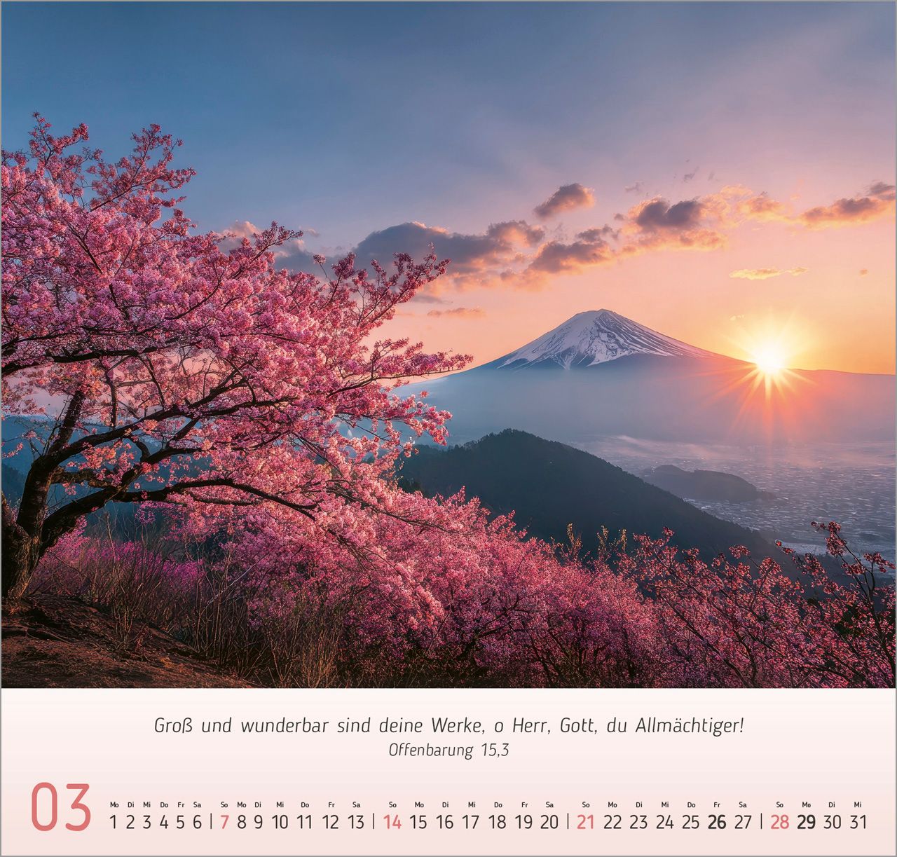 Wandkalender - Licht-Impressionen 2027 Wandkalender