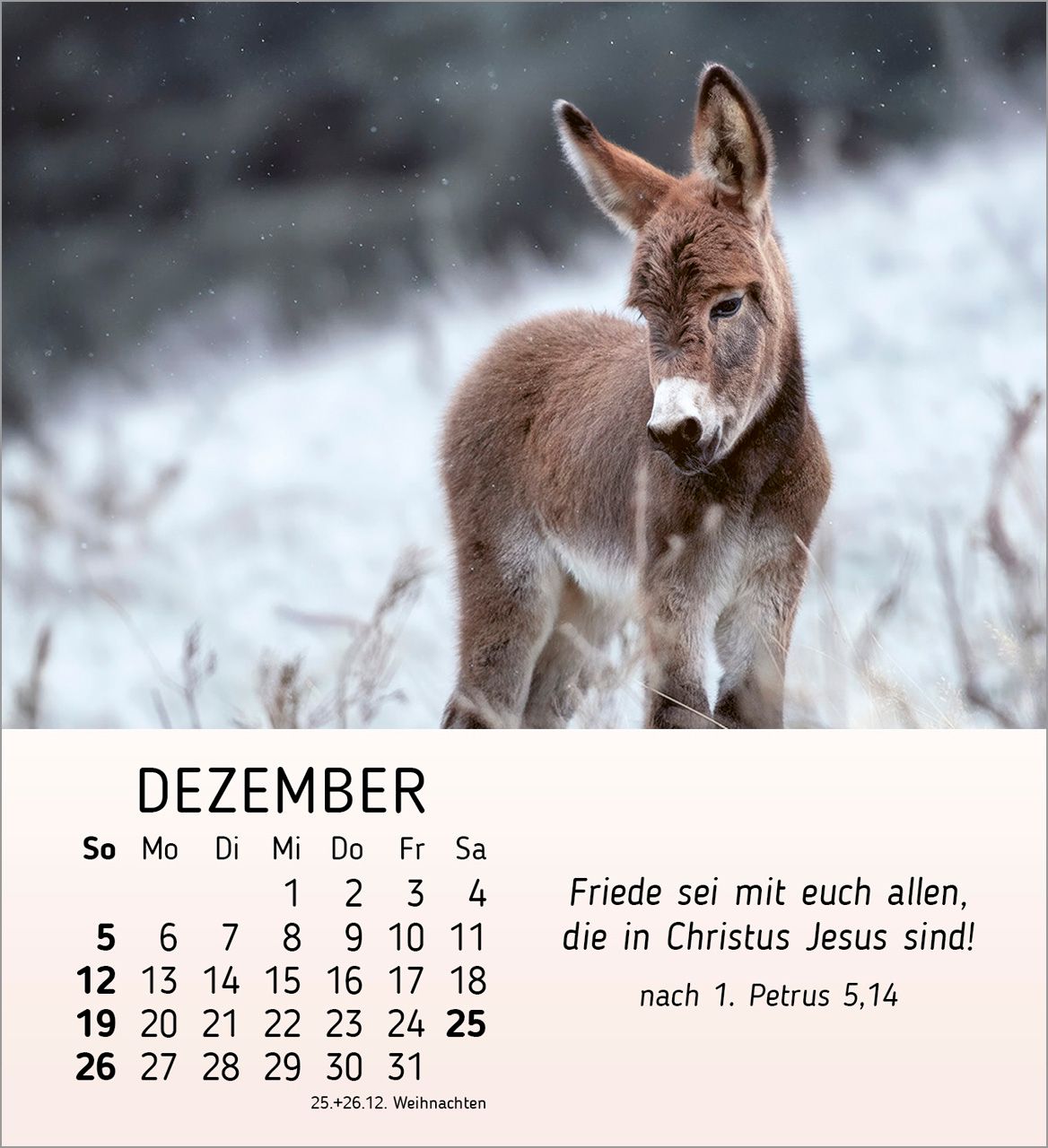 Tischkalender - Meine kleinen Freunde 2027