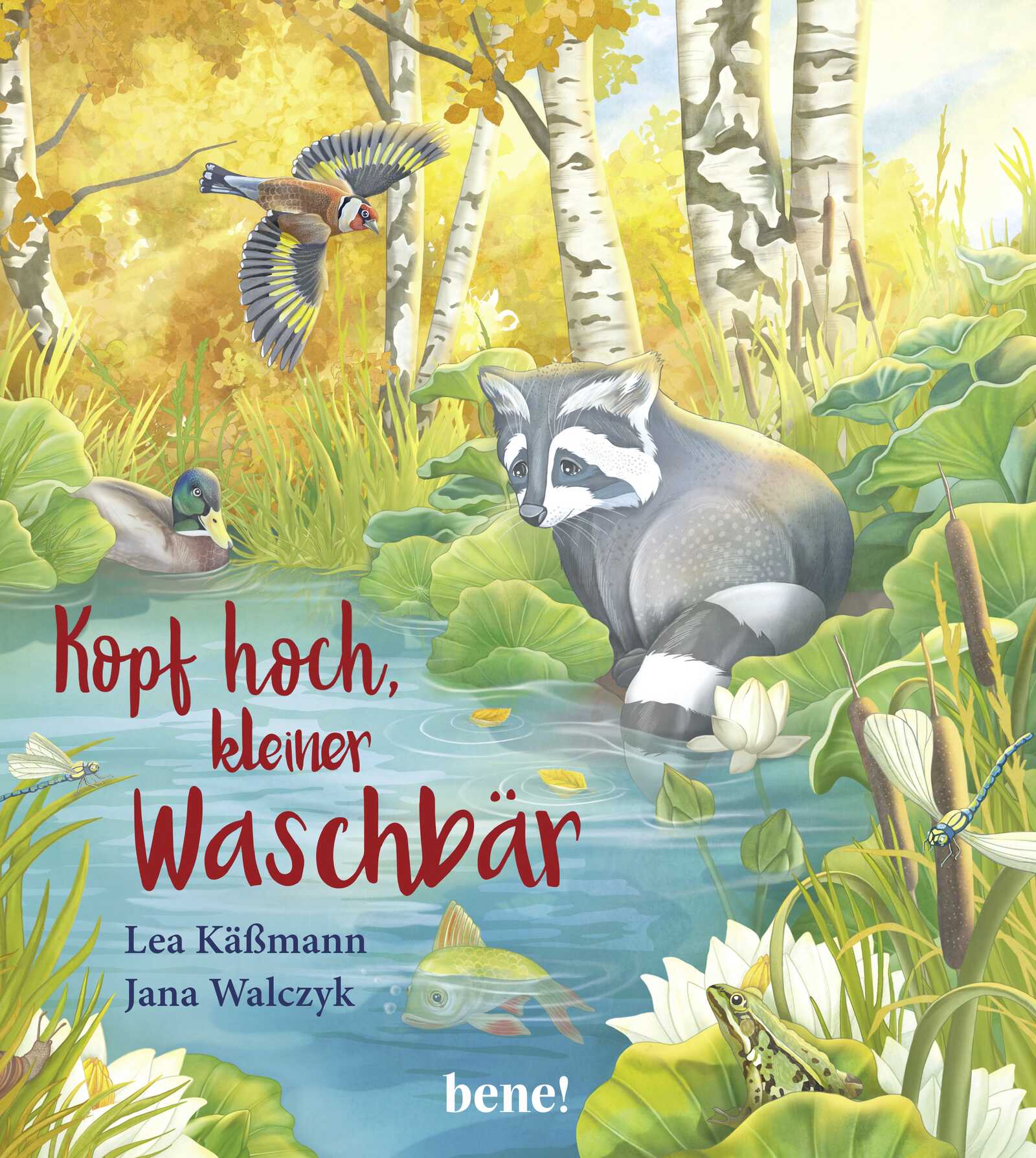 Buch - Kopf hoch, kleiner Waschbär - Teich Bach Fluss Waschbär Ente Wald Vogel Fisch Frosch Libelle