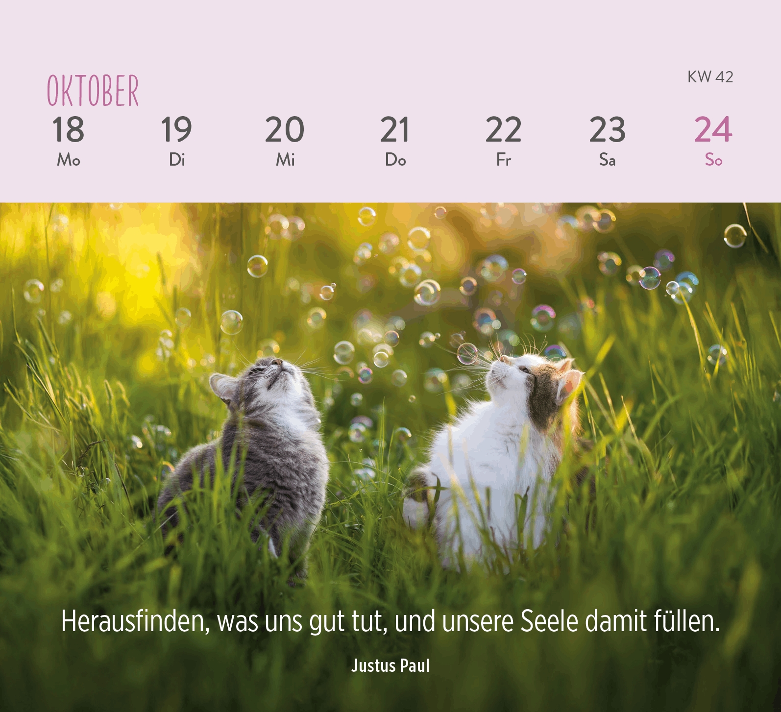 Aufstellkalender - Für Katzenfreunde 2027
