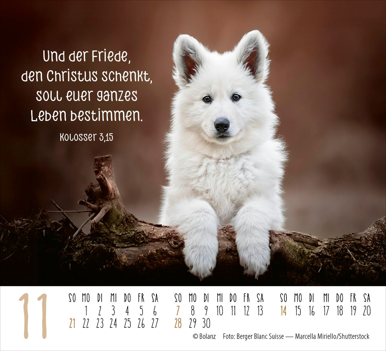 Aufstellkalender - Hunde 2027