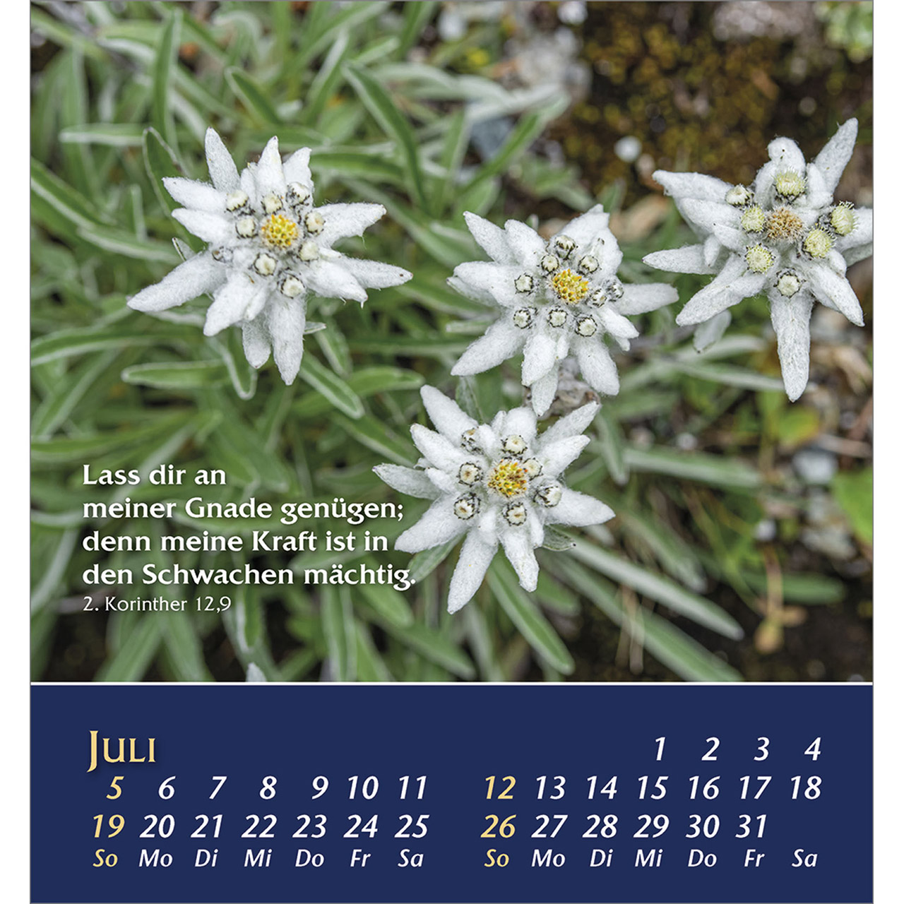 Tischkalender - Aus der Stille leben 2026