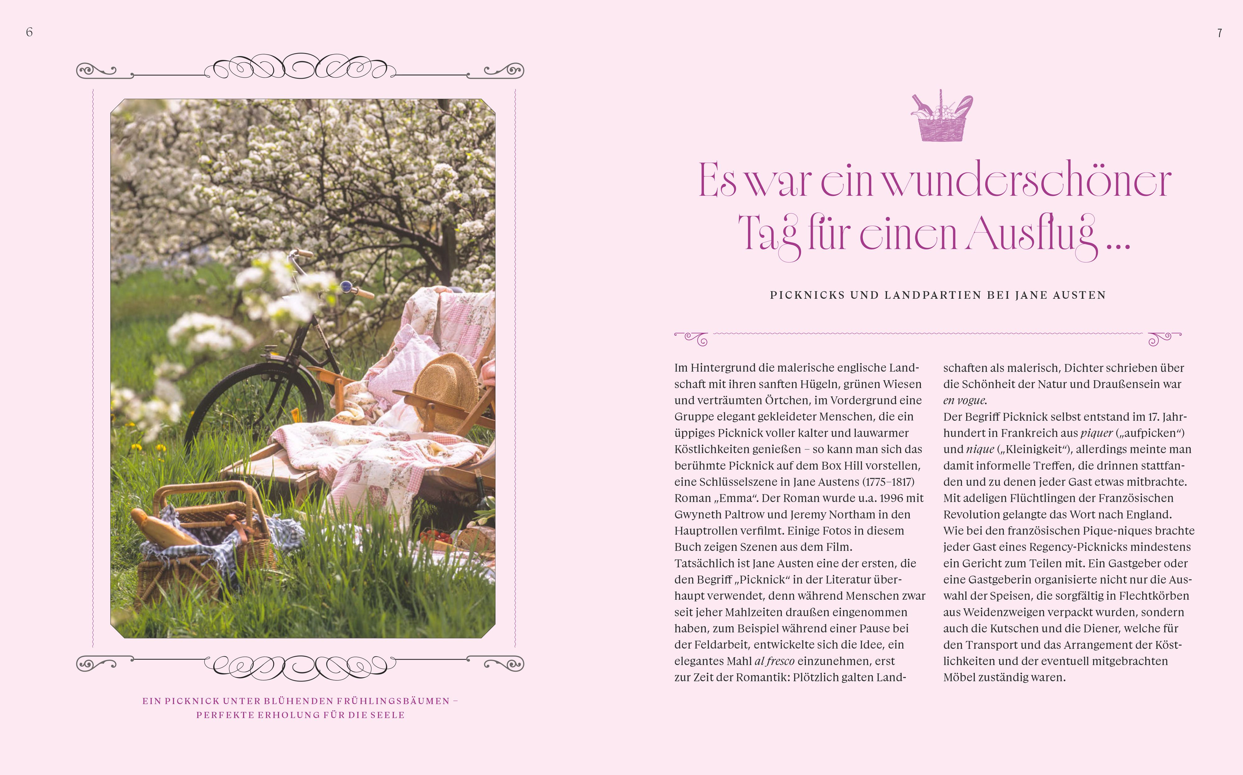 Buch - Picknick mit Jane Austen