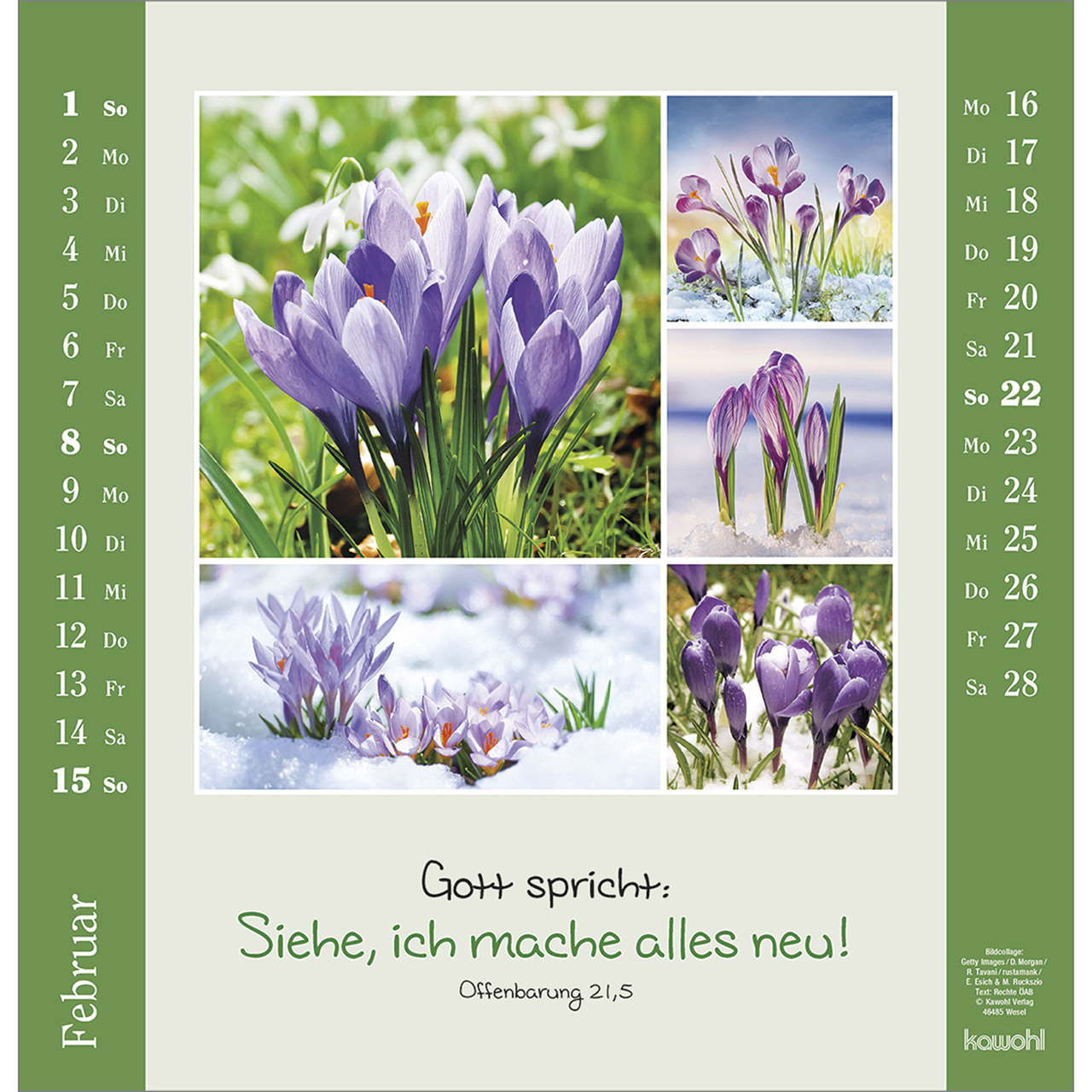 Wandkalender - Kleine Freuden entdecken 2026