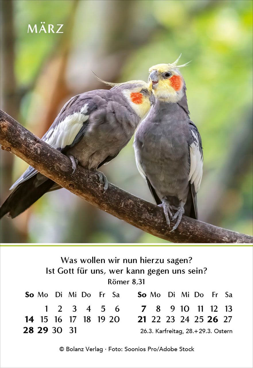 Aufstellkalender - Ein Jahr der Geborgenheit 2027