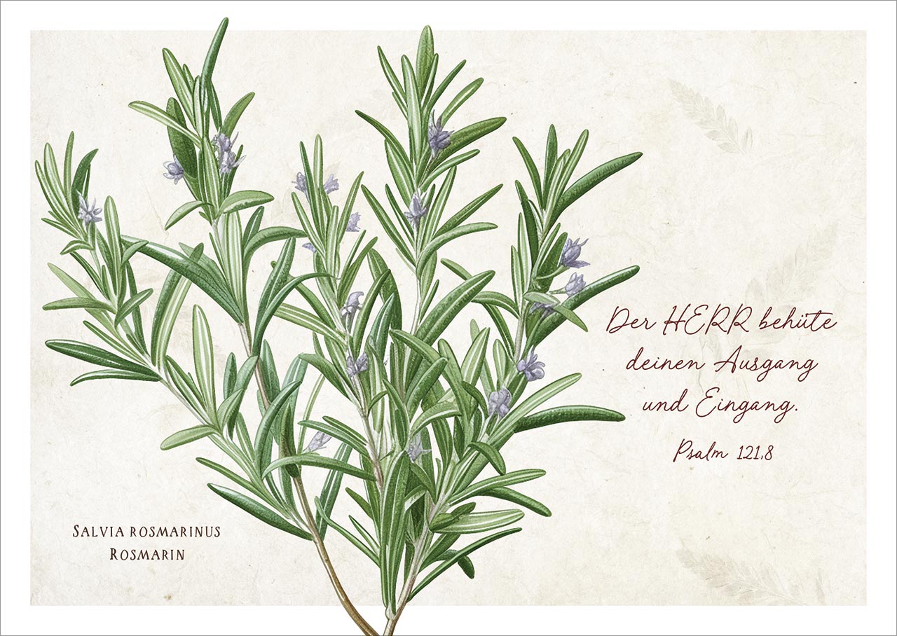 Postkarten - Postkarte 'Der HERR behüte deinen Ausgang und Eingang.           Psalm 121,8' 12 - Rosmarinzweig