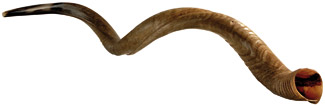Shofar (Widderhorn)