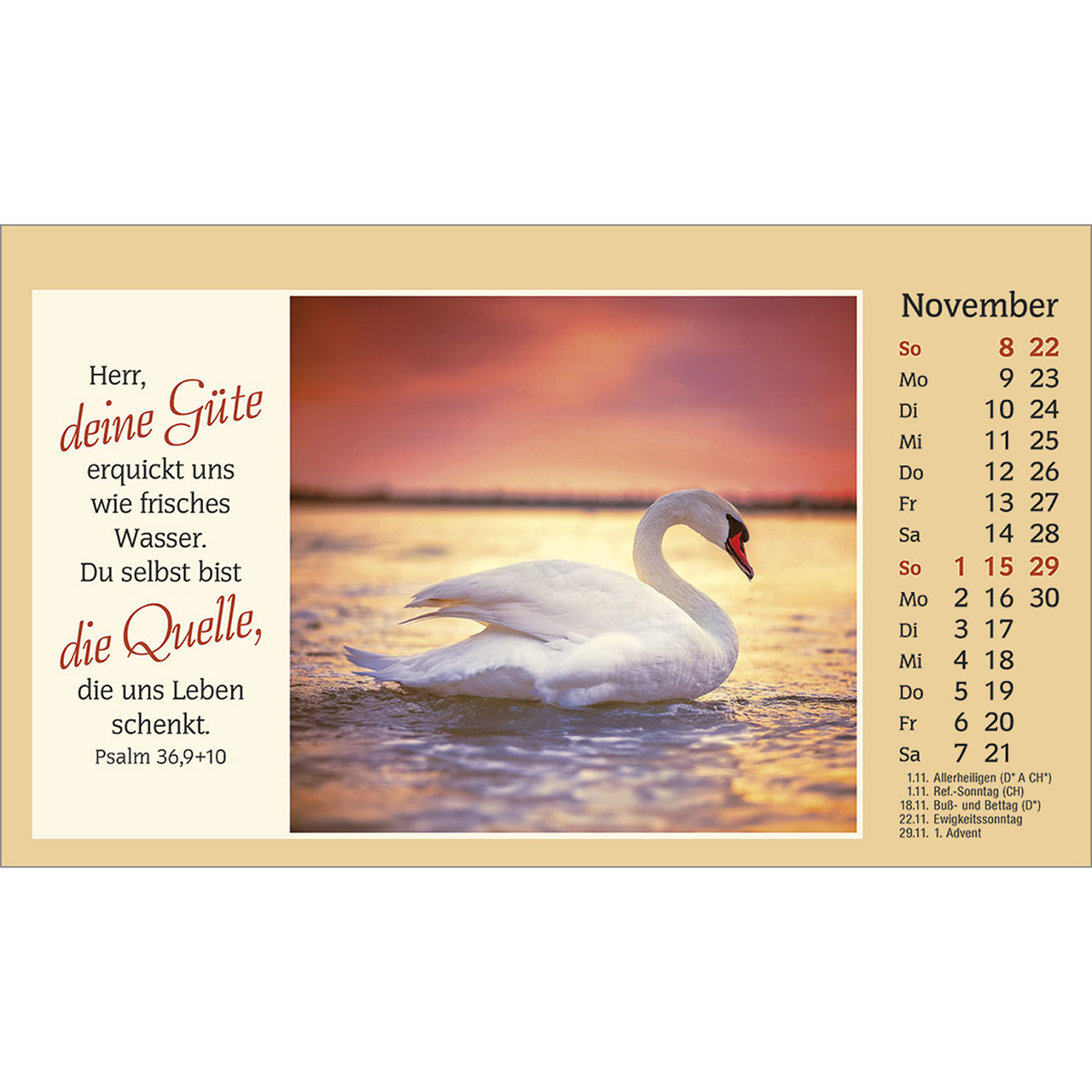 Tischkalender - Der kleine Begleiter 2026