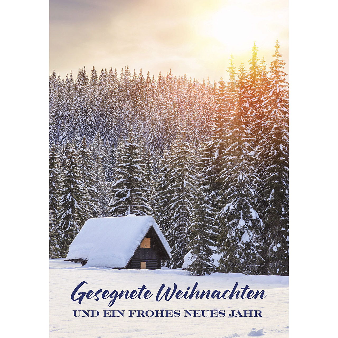 Gesegnete Weihnachten und ein frohes neues Jahr