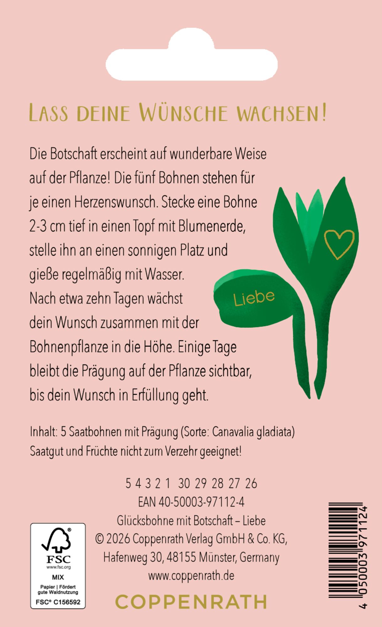 Saatgut - Glücksbohnen - Liebe