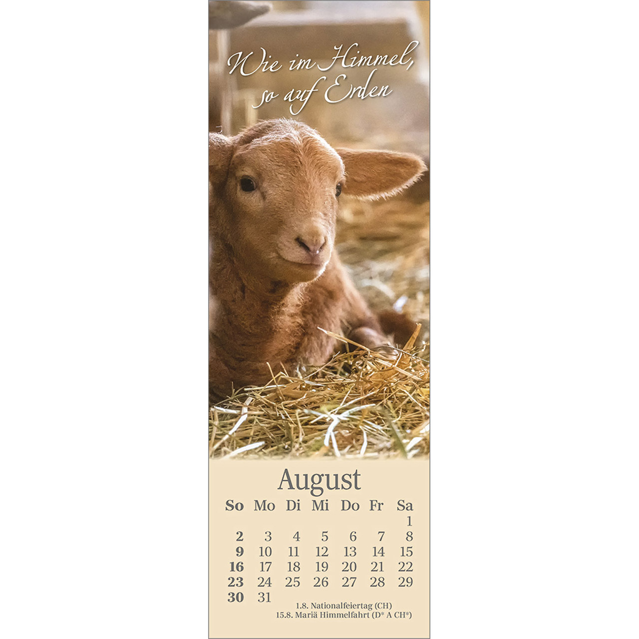 Lesezeichenkalender - Sei behütet jeden Tag 2026