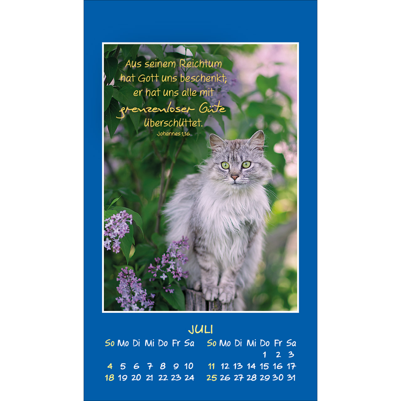 Aufkleberkalender - Mini Katzen-Tatzen 2027 - Katzen